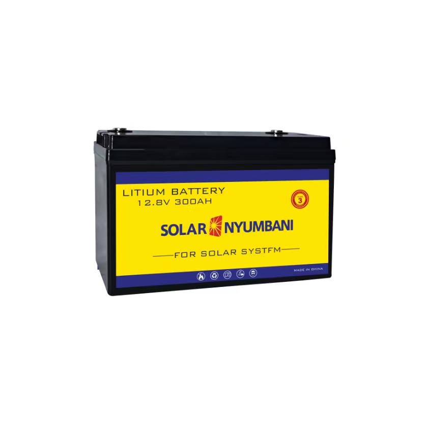Solarnyumbani 3.84kWh Lithium-Ion Battery | 12.8V 300Ah