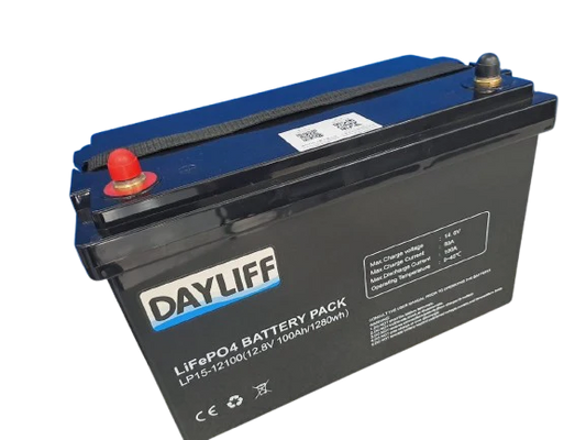 Dayliff DLIP 1.3kWh 100Ah 12V Lithium-Ion Battery