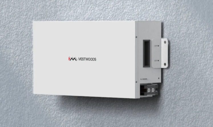 Vestwoods 24V 100Ah Lithium LiFePO4 Battery