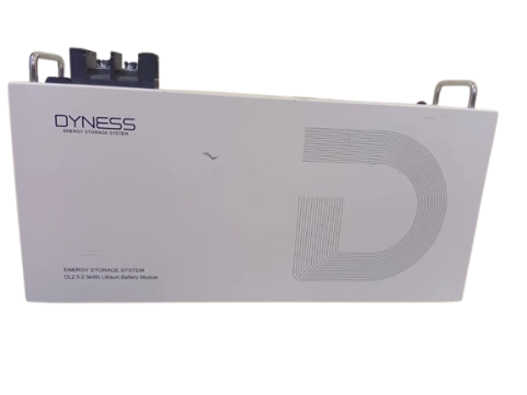 Dyness DL2.5 2.56kWh 25.6V LiFePO₄ Lithium Battery